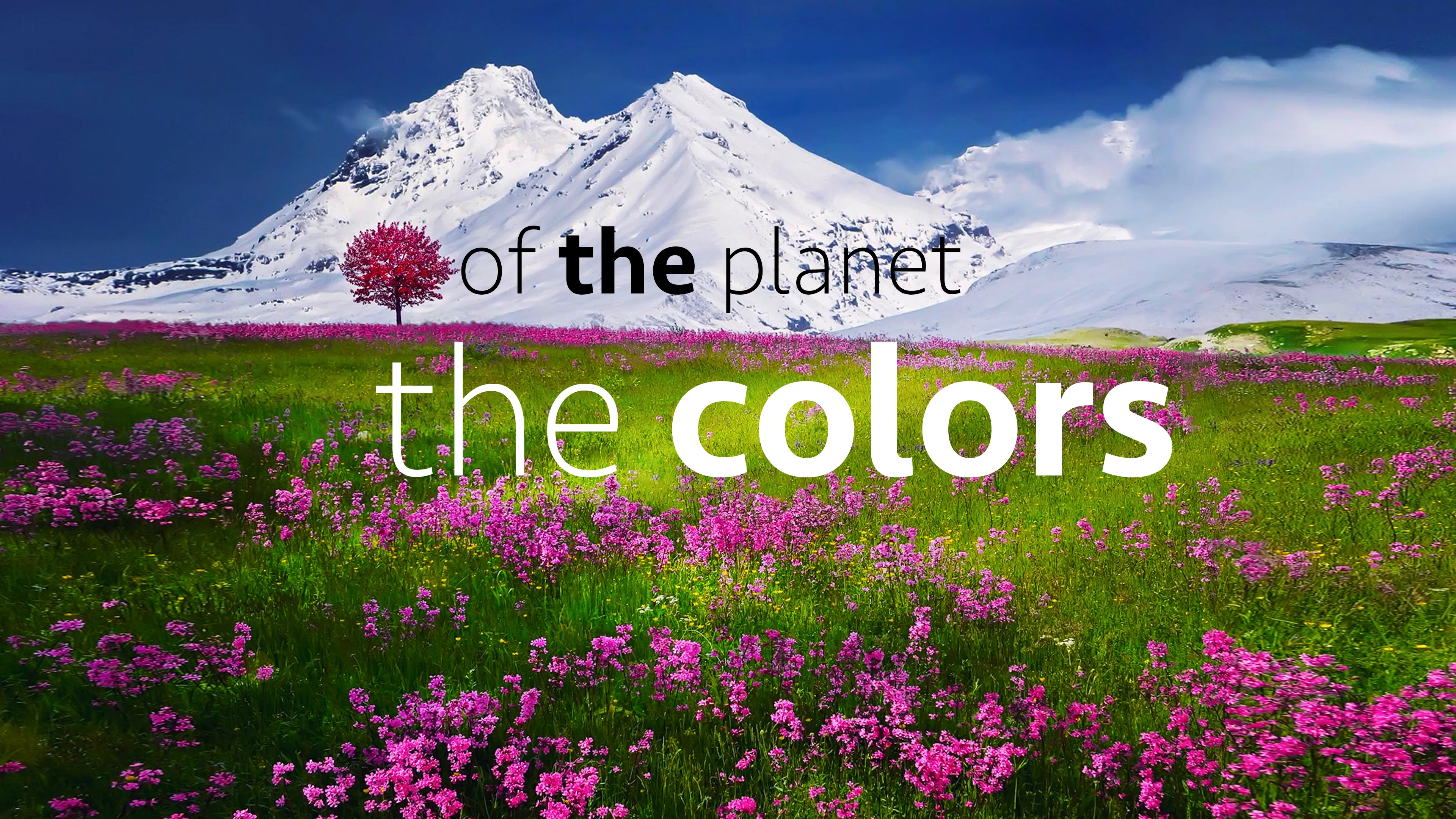 The Colors of the Planet poster